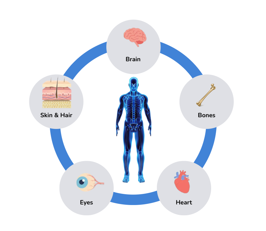 Tomato Powder tomatopng3d